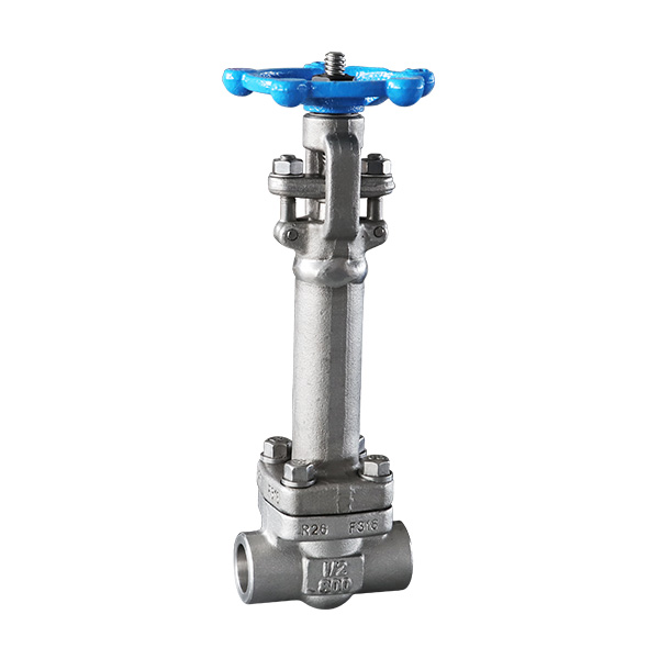 Forged steel low-temperature butt welding gate valve