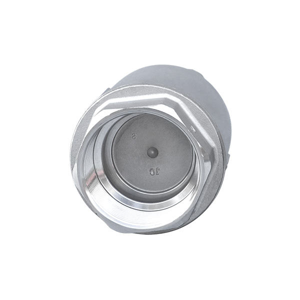 Thread check valve (hard sealed)