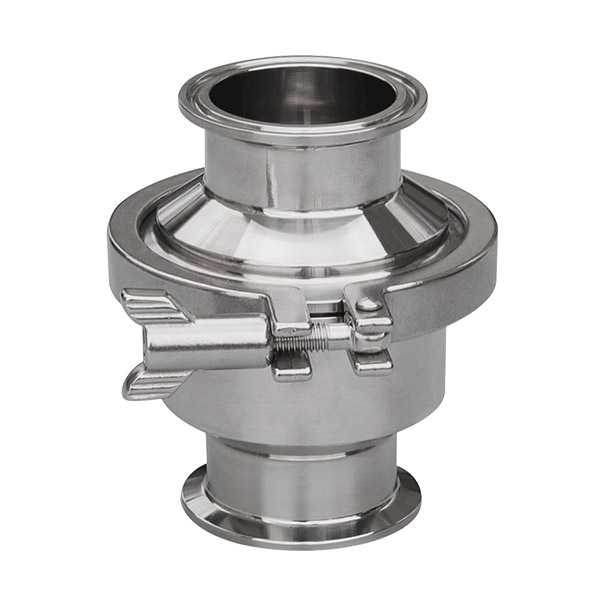 Check valve
